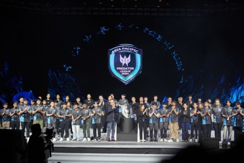 仅体现了队 仅体现了队